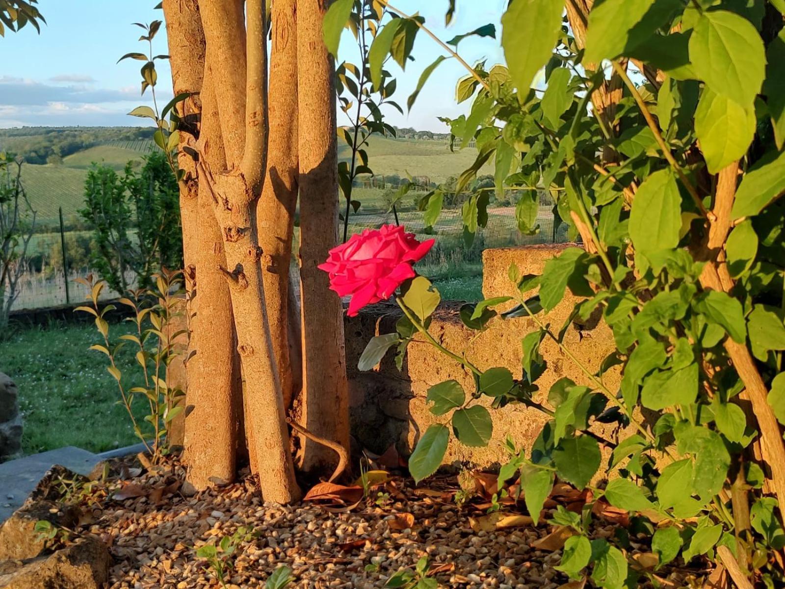 Il Giardino Del Chianti Apartment Siena Exterior photo